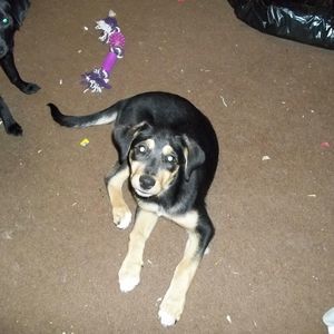 Meet your Posher, Tammy